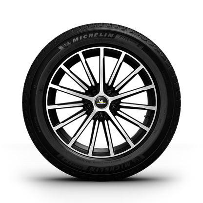 Michelin®X-ICE® Snow